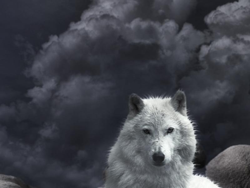 lyeswreda's profile banner image