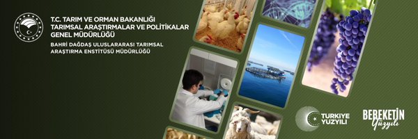 bahridagdas Profile Banner