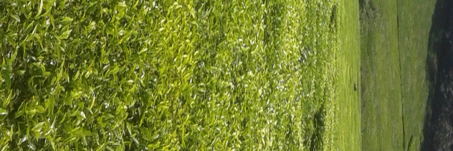 kareithi23's profile banner image