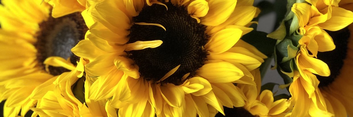 brown_n7's profile banner image