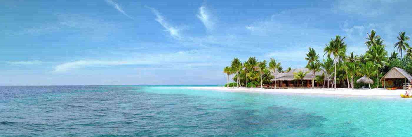 IslandZambula's profile banner image