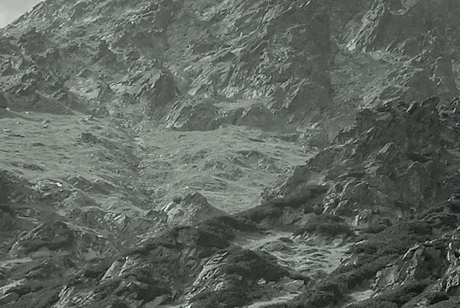 ninablulorod's profile banner image