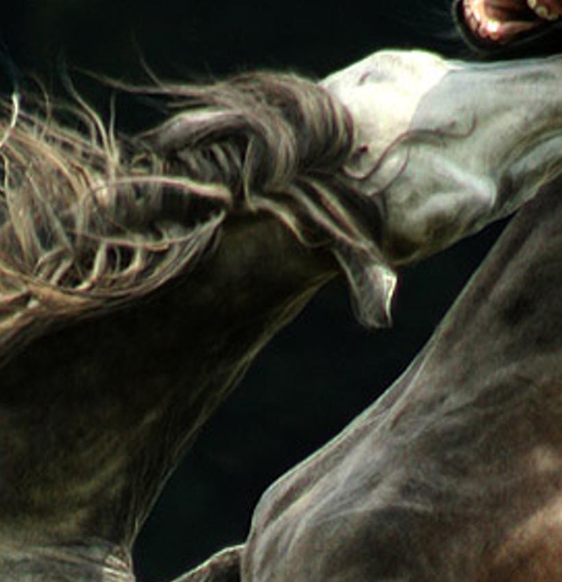 oatidatzoni's profile banner image