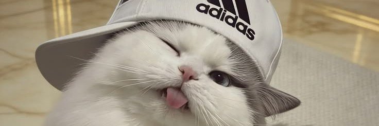 BibetoNany's profile banner image