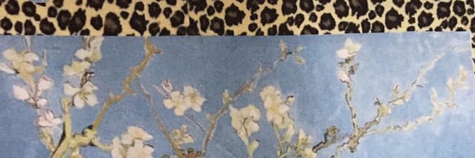 Cansutweet's profile banner image