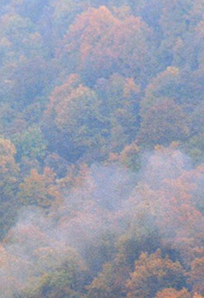 armovinitl's profile banner image