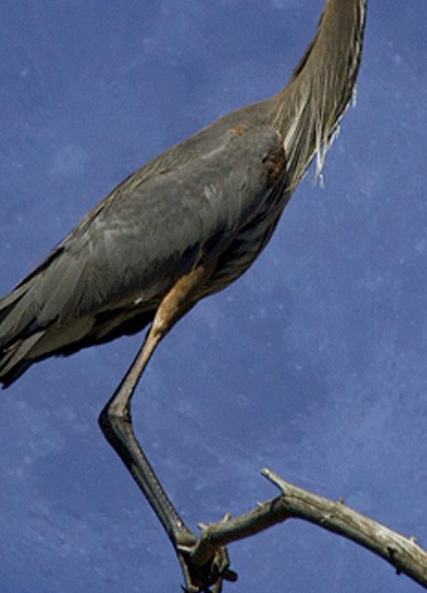 ercruruakede's profile banner image