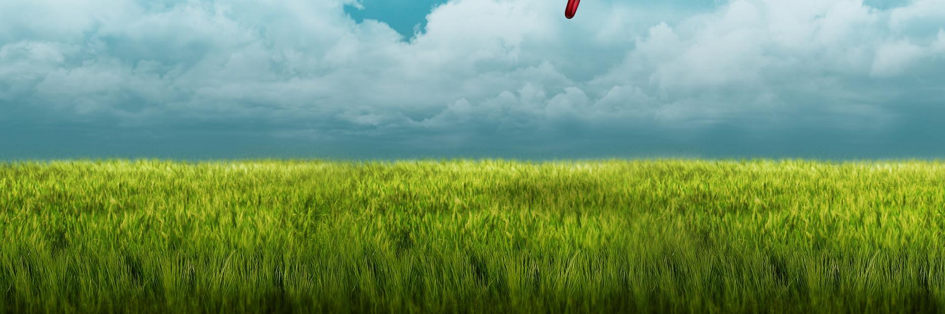 realvalnolan's profile banner image