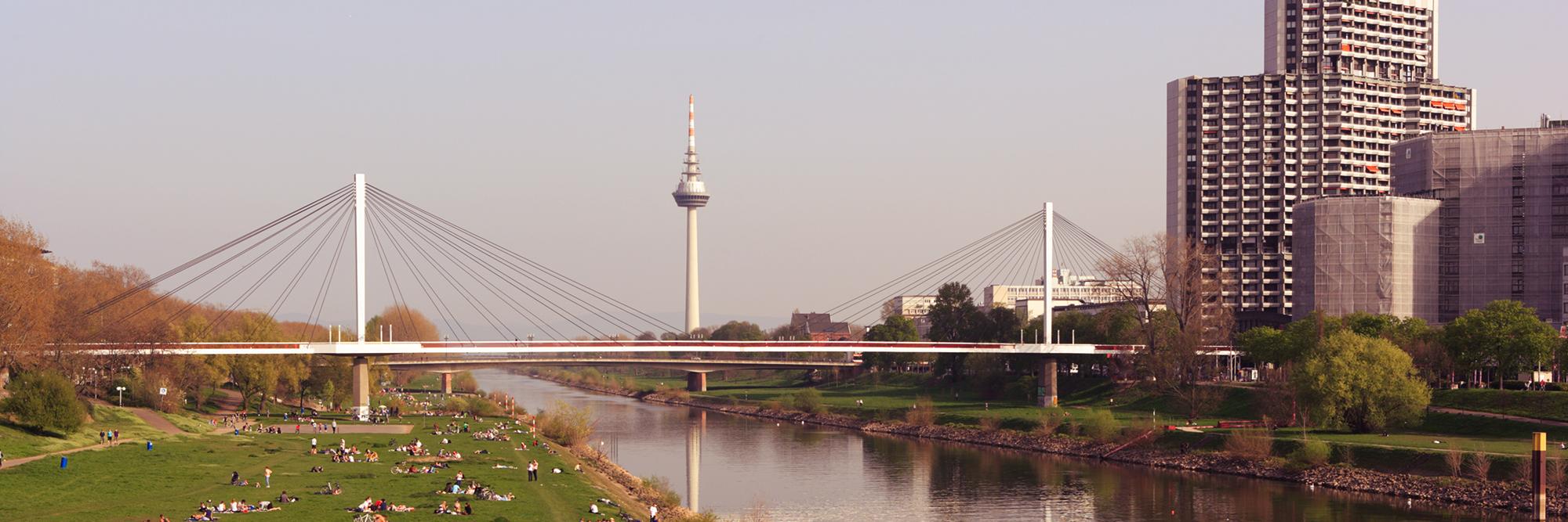 regenbogen_MA's profile banner image