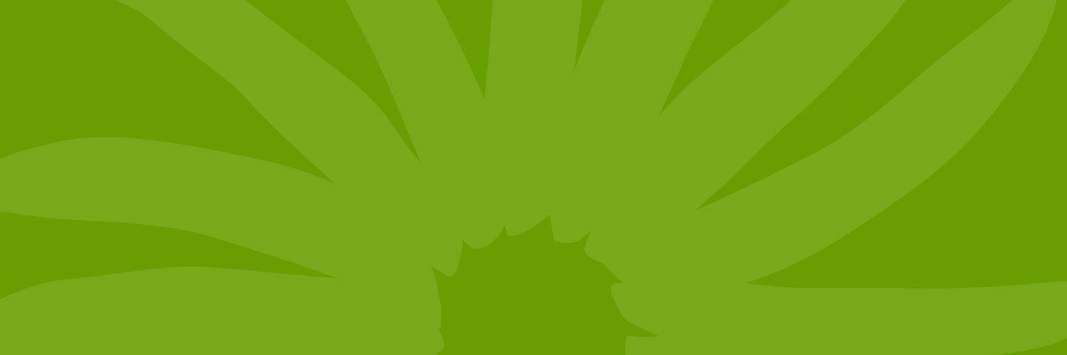 vainasverdes's profile banner image