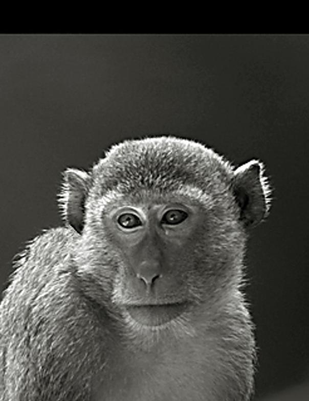 rkessapi's profile banner image