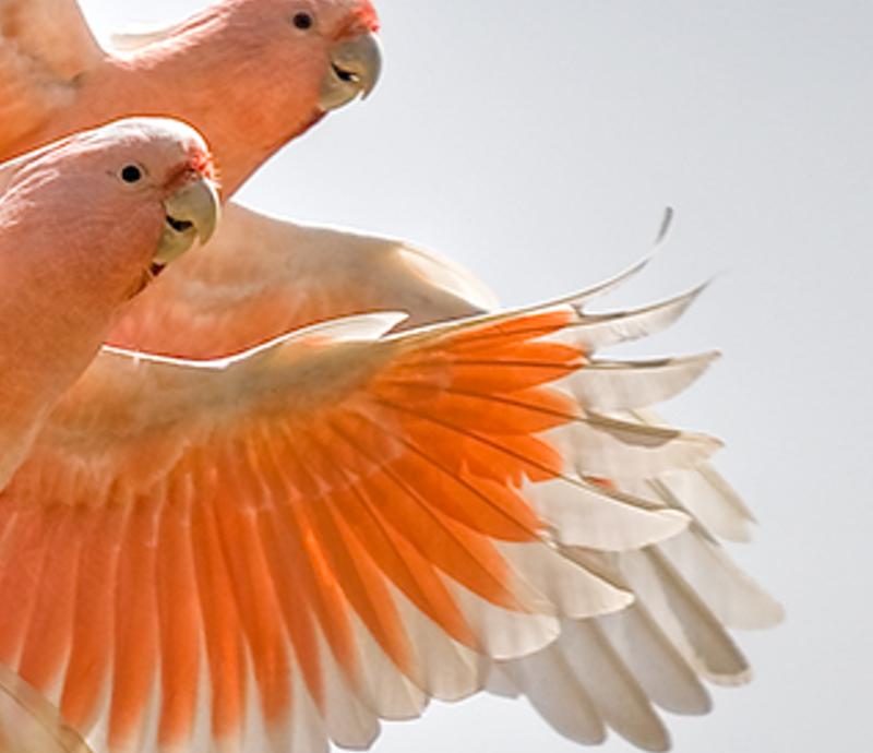 dlelictl's profile banner image