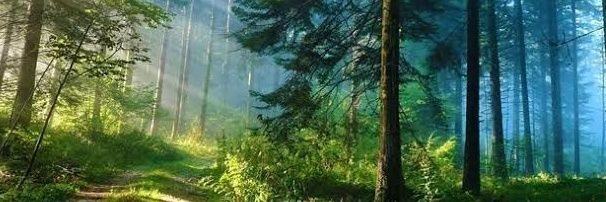 Emektar Tarihçi banner