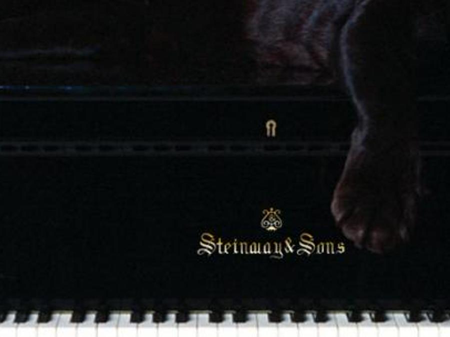 otinolorn's profile banner image
