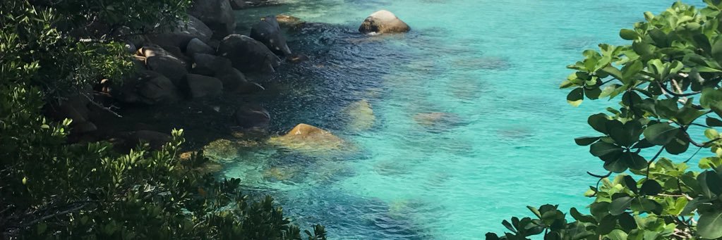 JJ (Jeannette James) banner