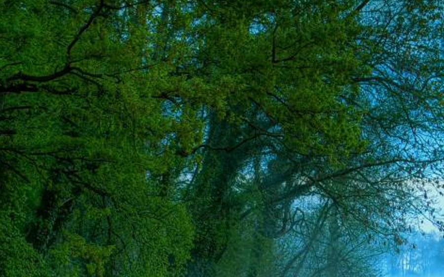 endypspendu's profile banner image