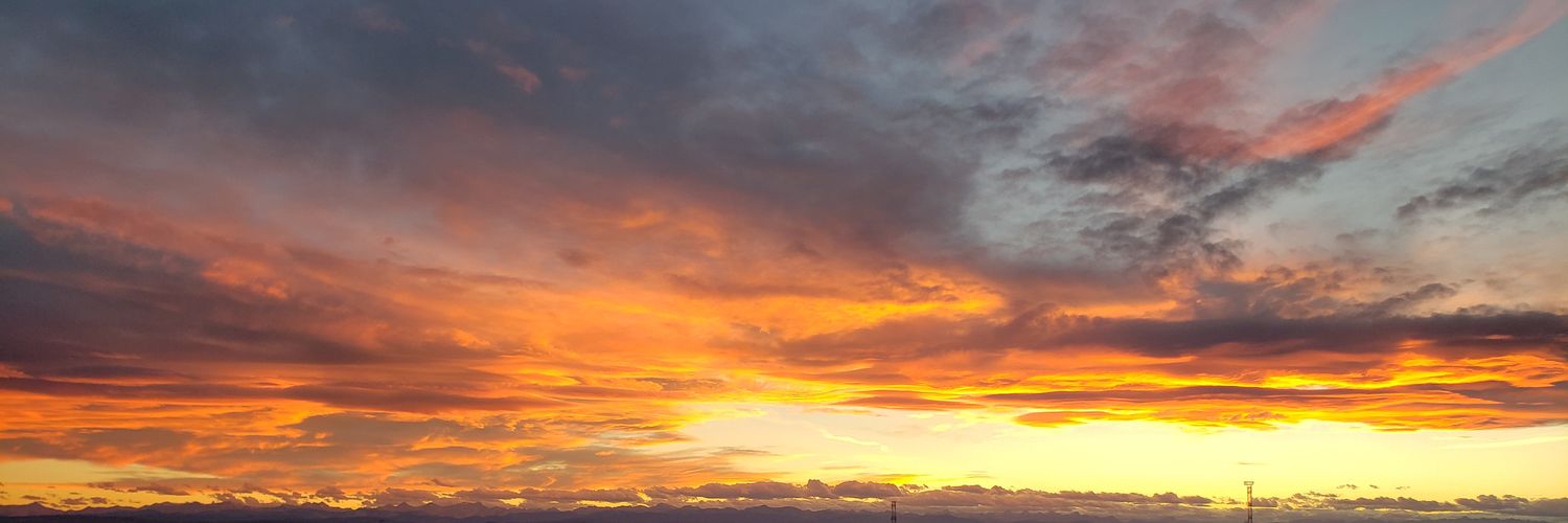 Taylorree's profile banner image