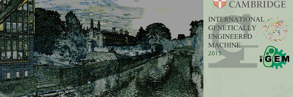 iGEMCambridge's profile banner image
