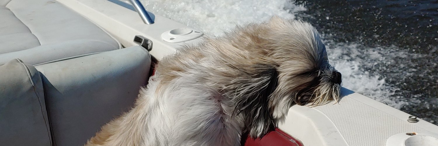 Stephanie Johnson banner