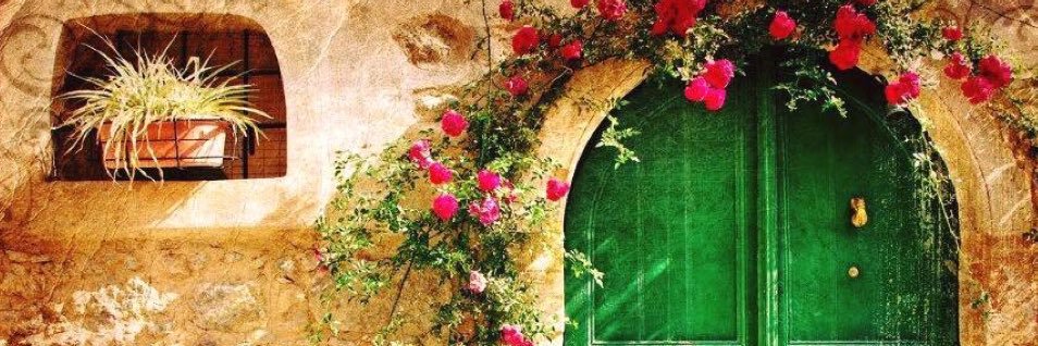 eylulmervee's profile banner image