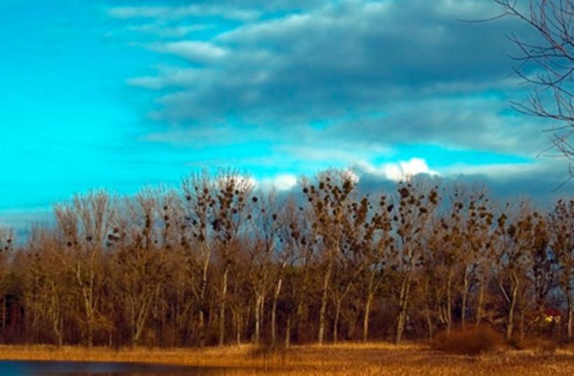 edelubui's profile banner image