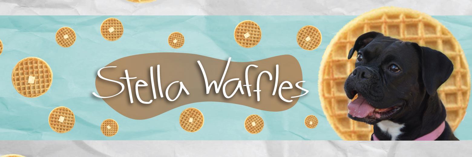 Stella_Waffles's profile banner image