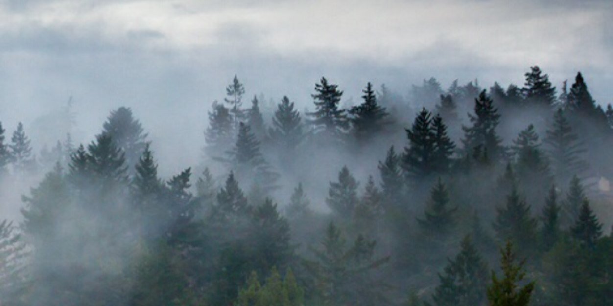 NicholasJGomez's profile banner image