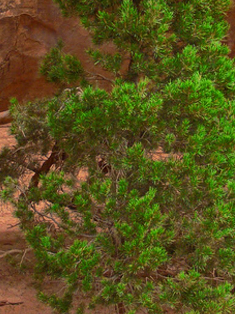 ilonomal's profile banner image