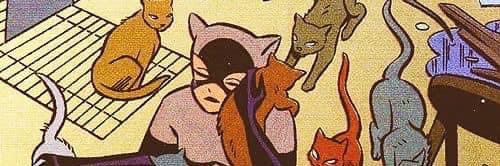 ray banner