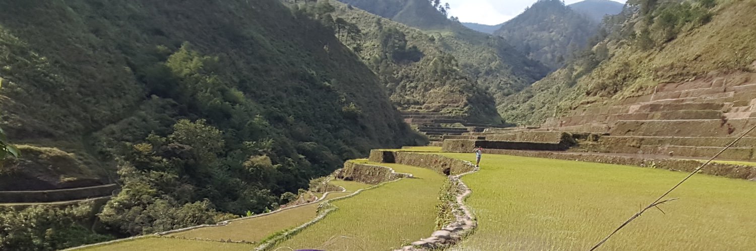 Rebecca Mercaldi banner