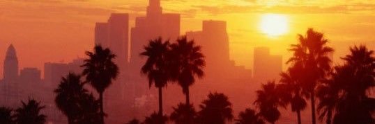 Toon Army Los Angeles banner