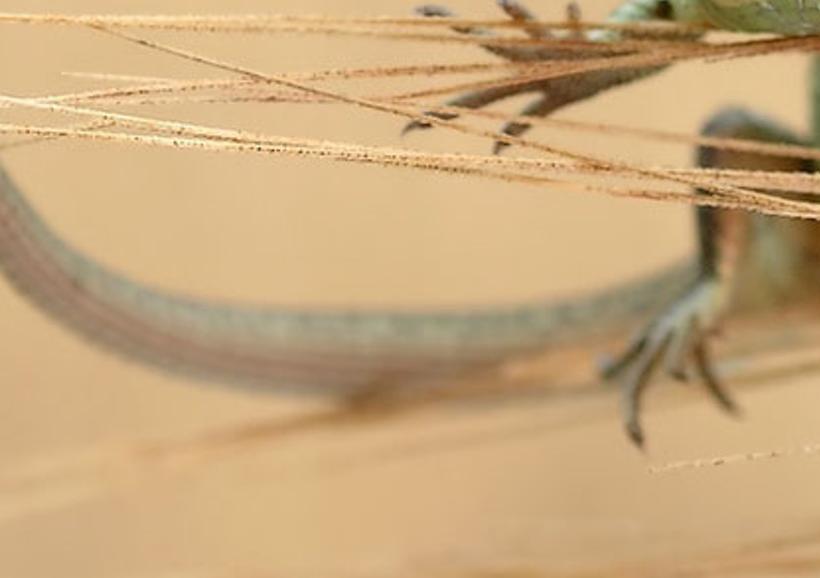 ustinishen's profile banner image