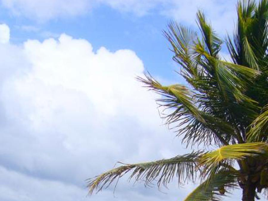 rencomoh's profile banner image