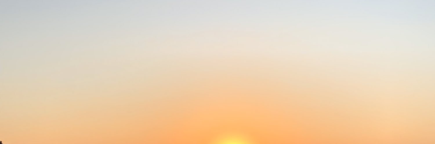 exotij_'s profile banner image
