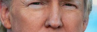 TrumpsVP's profile banner image