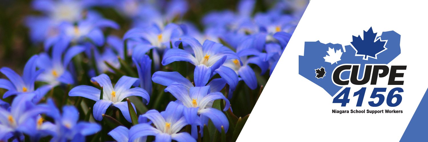 CUPE4156's profile banner image