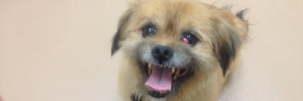 aligay1024's profile banner image