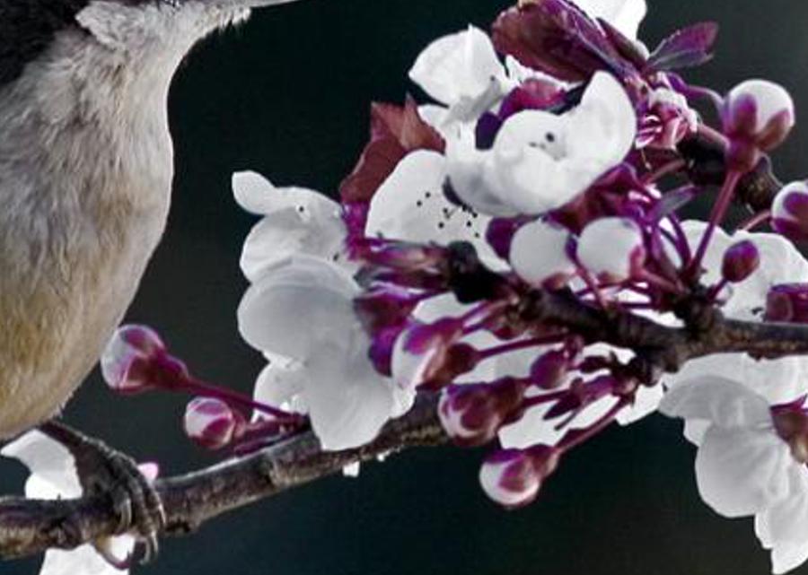 tingovabl's profile banner image