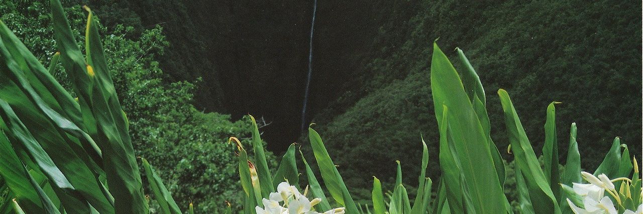 eternnai's profile banner image