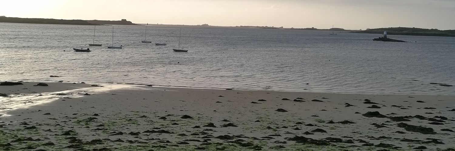 TheBreizhMan's profile banner image