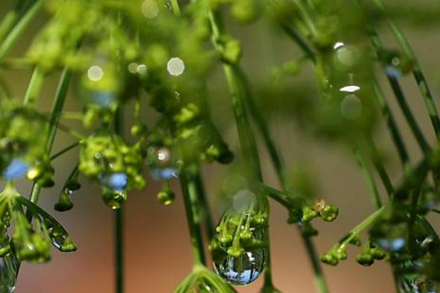 odorcorene's profile banner image