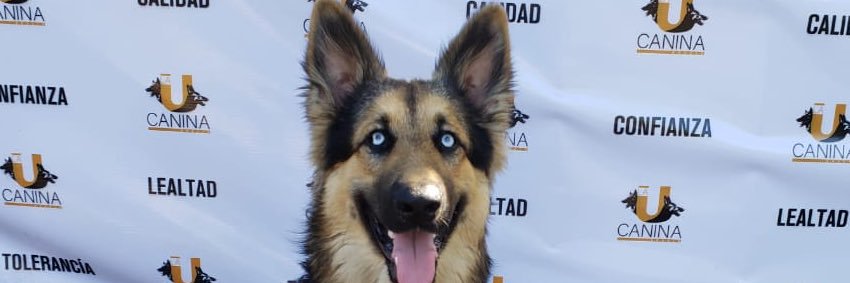 Eduardo Caton banner