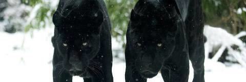M_FeeOh22's profile banner image