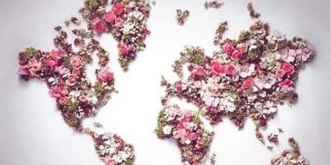 Sarah_Alrefai's profile banner image