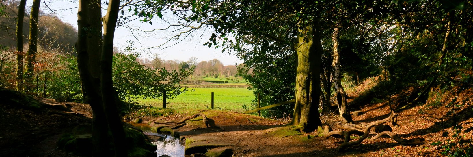 Helen McKeown banner