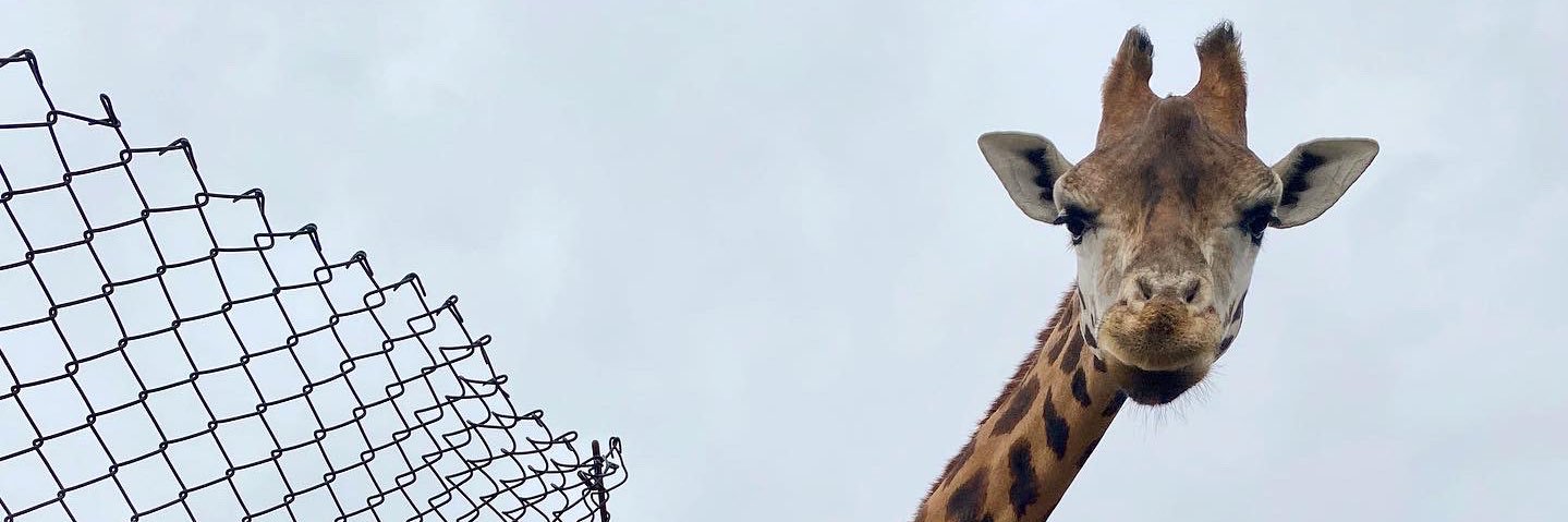 GeoBowden8's profile banner image