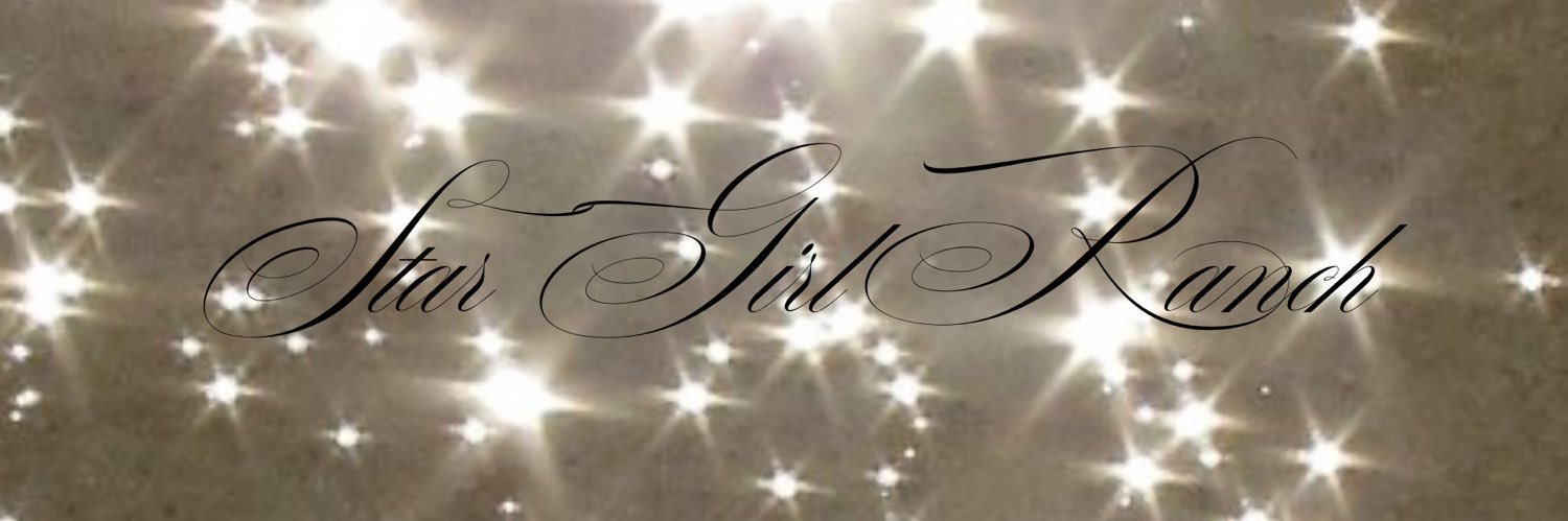 stargirlranch's profile banner image