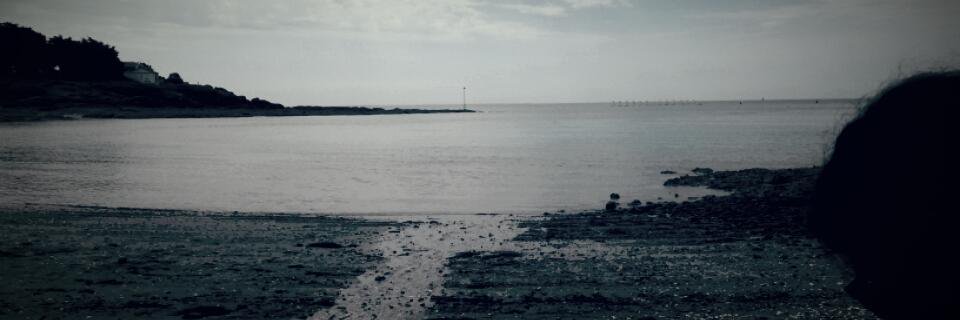 Chloe_Rbin's profile banner image