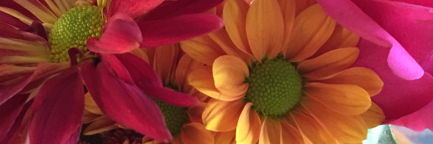 sandibiggs's profile banner image