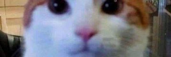 SweepMM Profile Banner